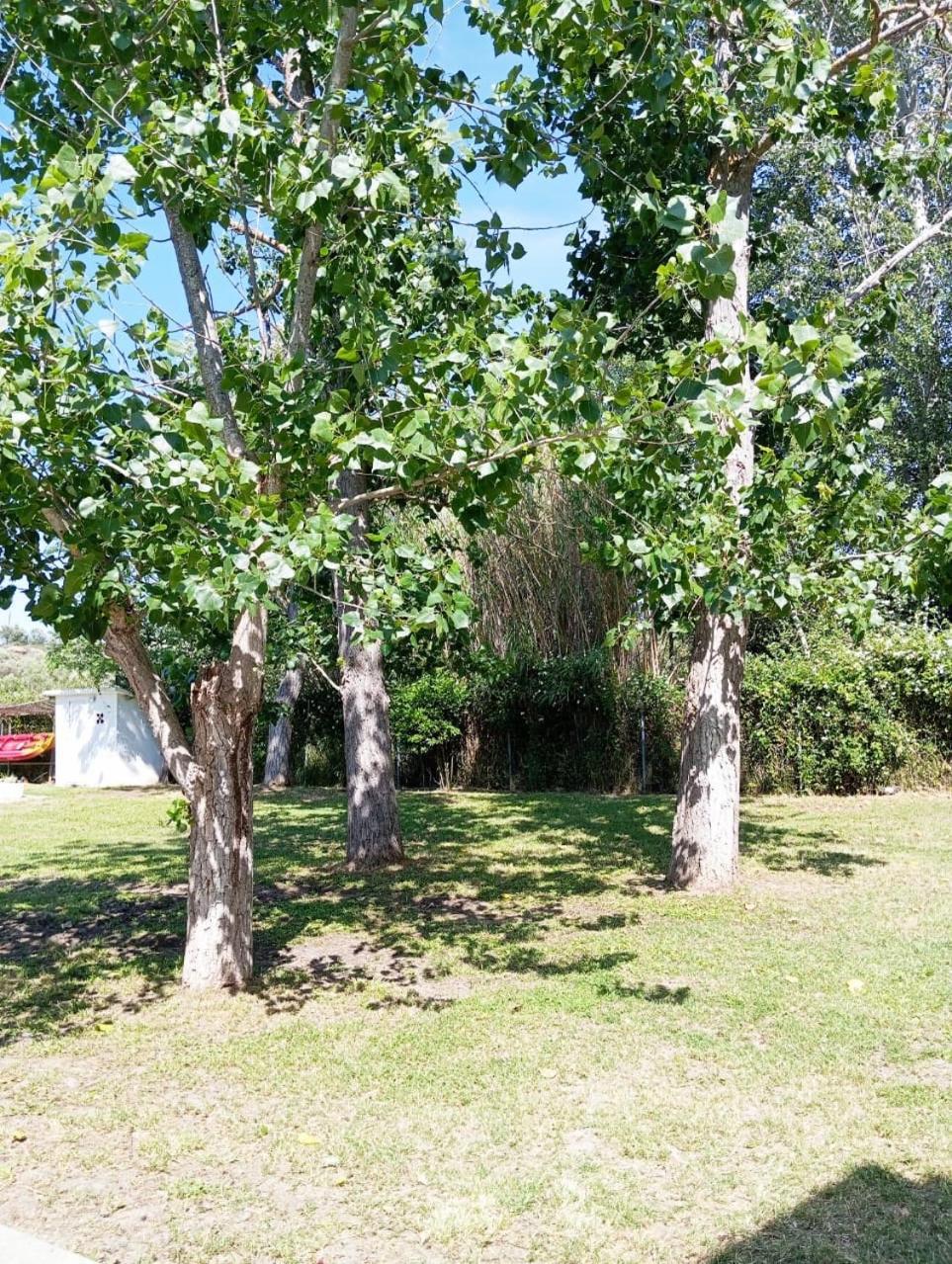 Villa Elena Ormos Panagias Bagian luar foto